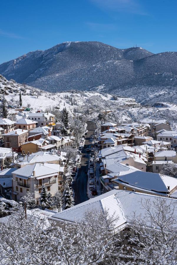 Paeonia Arachova Hotel Bagian luar foto