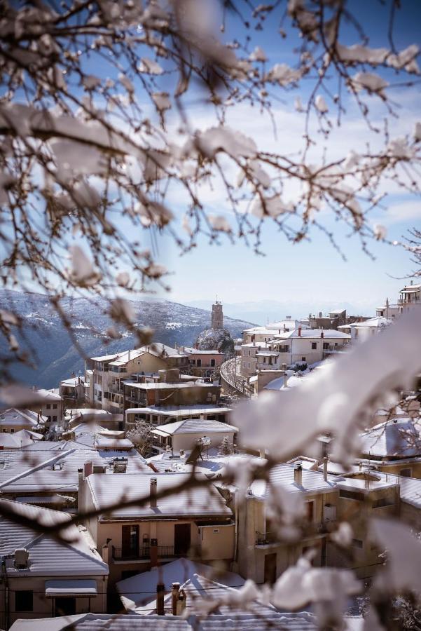 Paeonia Arachova Hotel Bagian luar foto