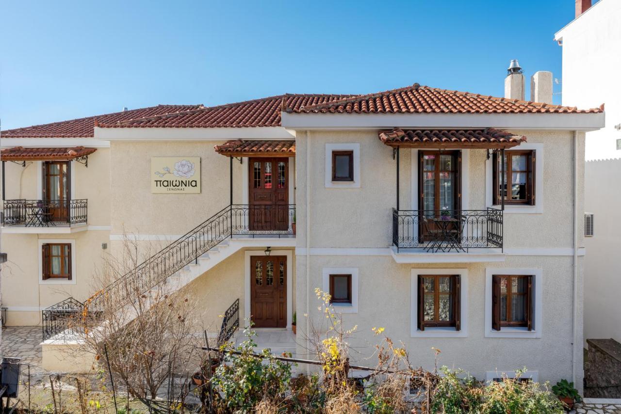 Paeonia Arachova Hotel Bagian luar foto